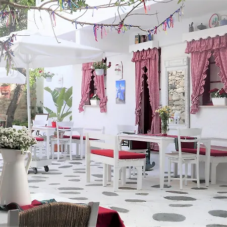 Kurabiye (adults Only)