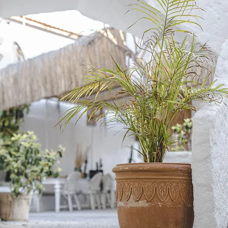 Kurabiye (adults Only) 3* 알라카티