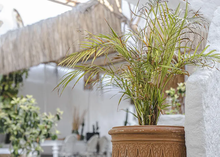 Kurabiye (adults Only) 3* Alacati